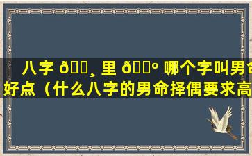 八字 🌸 里 🐺 哪个字叫男命好点（什么八字的男命择偶要求高）